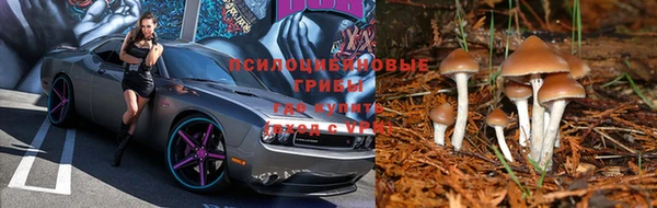 шишки Балабаново